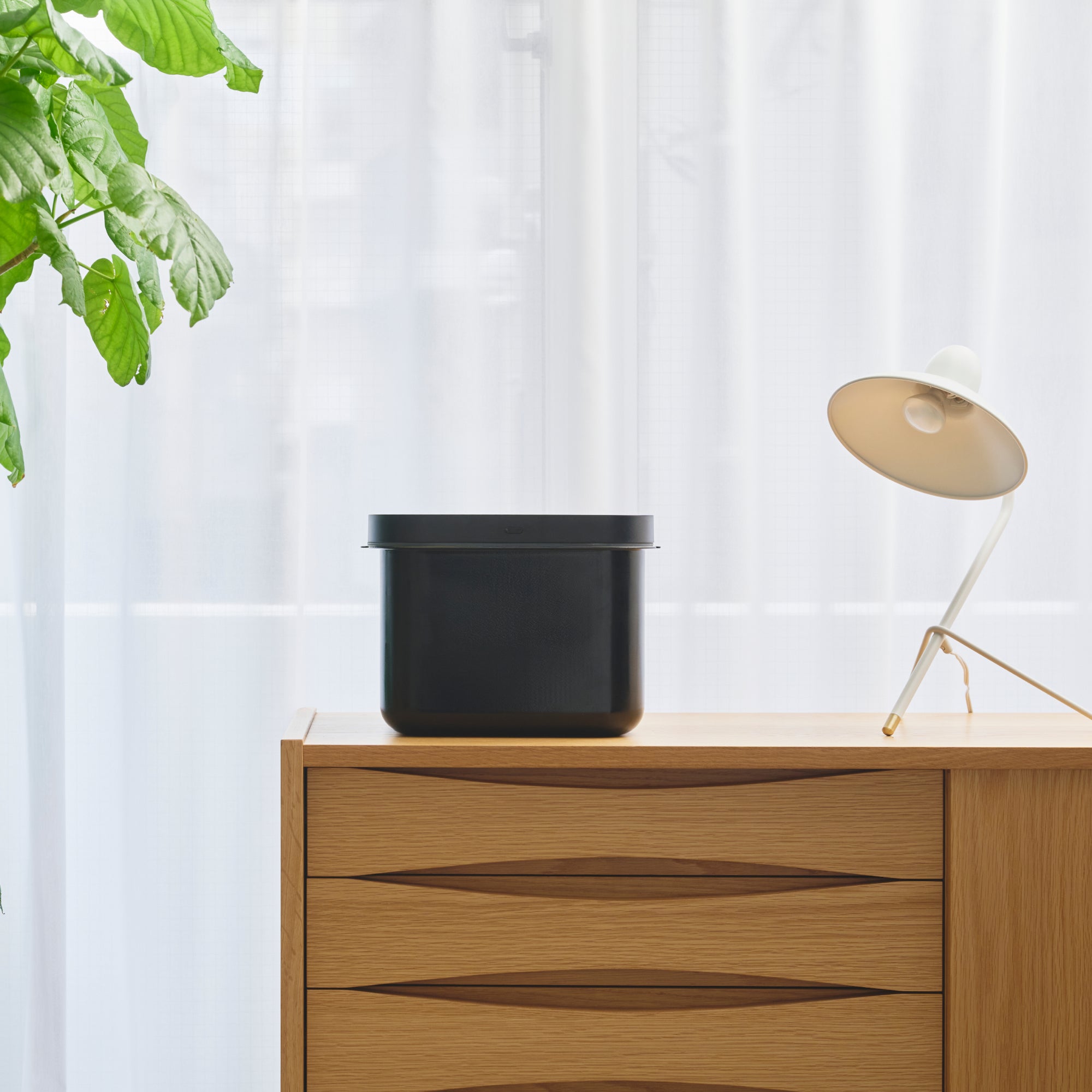 真空保存容器 空蔵（KURA）5kg – every U. online store